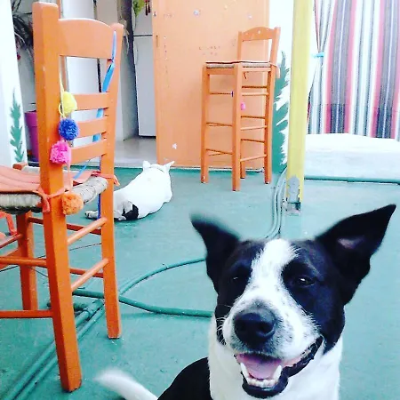 Hotel Viva Margarita Parikia (Paros)