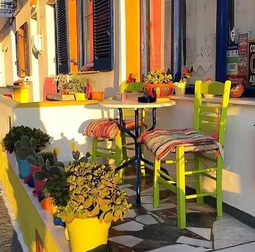 Viva Margarita Hotel