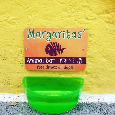 Viva Margarita *