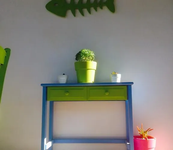 Viva Margarita * Párosz