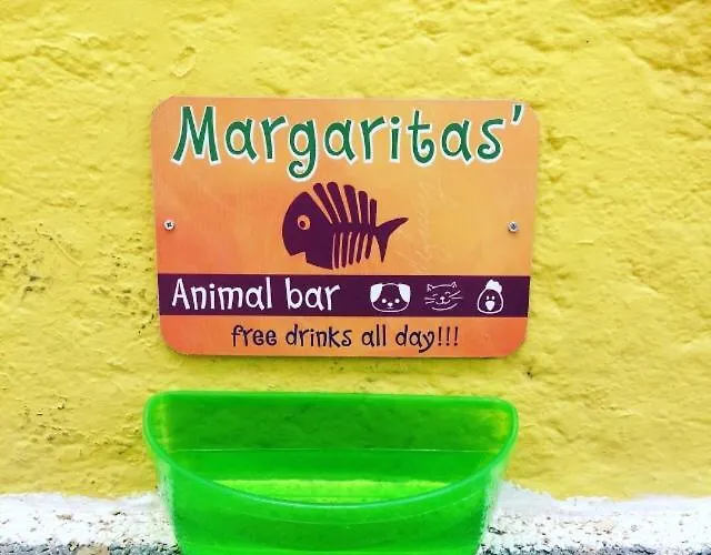 Viva Margarita *